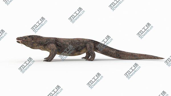 images/goods_img/20210312/3D Komodo Dragon Rigged/3.jpg